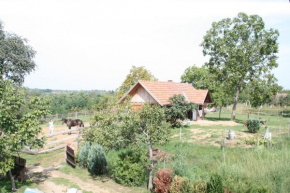Farmica, Bed&Breakfast, Bazen izdvojen nekoliko minuta hoda